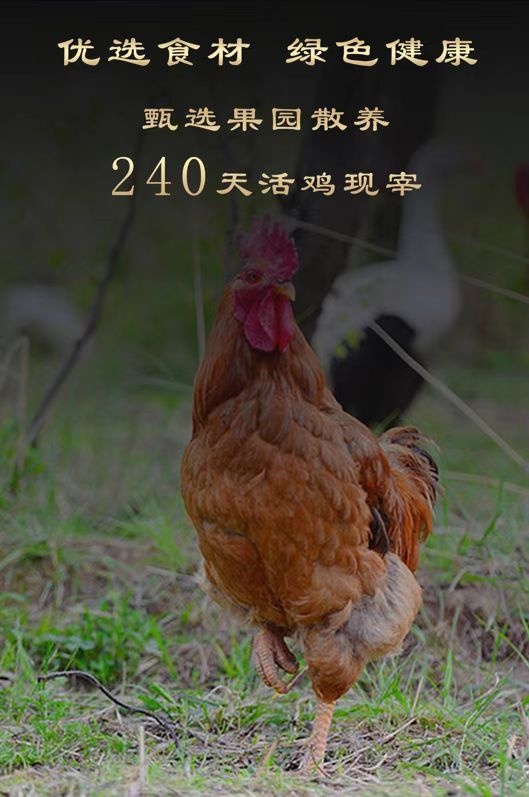 微信图片_20240904122459.jpg